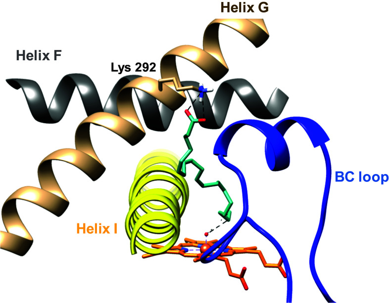 Fig. 6