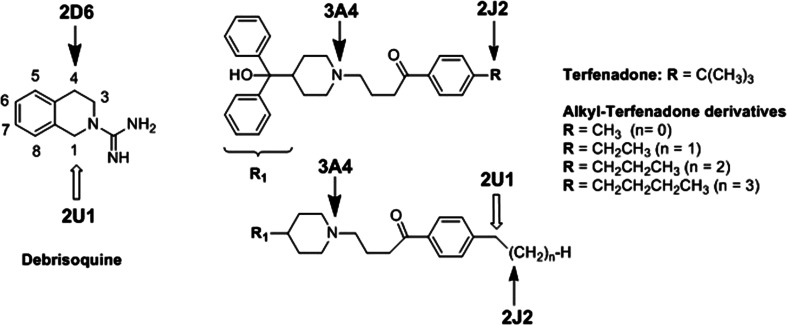 Fig. 5