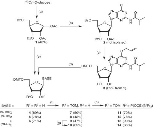 Scheme 1