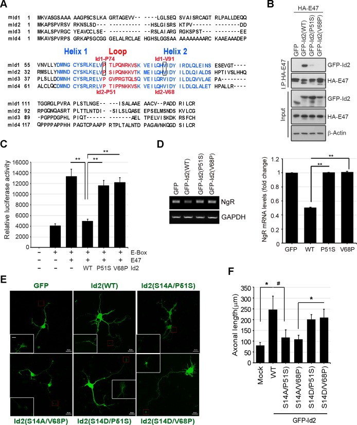 Figure 6—figure supplement 3.