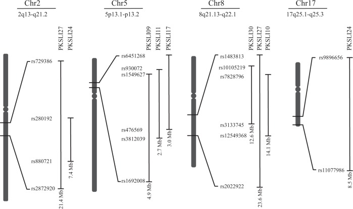 Fig. 3