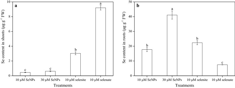 Fig. 4