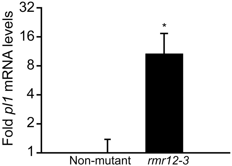 Fig 6