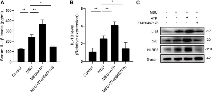 FIGURE. 7