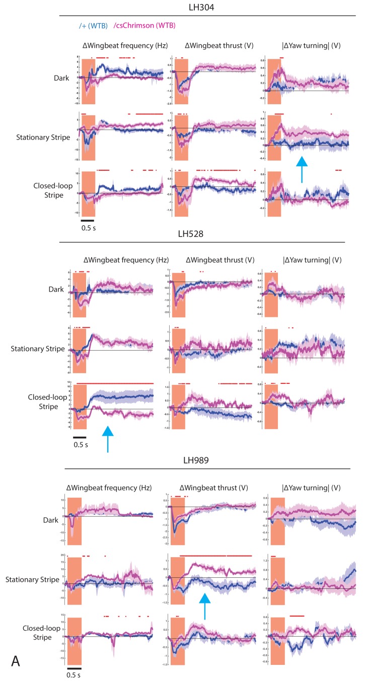 Figure 10—figure supplement 2.