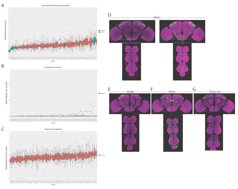 Figure 10—figure supplement 1.