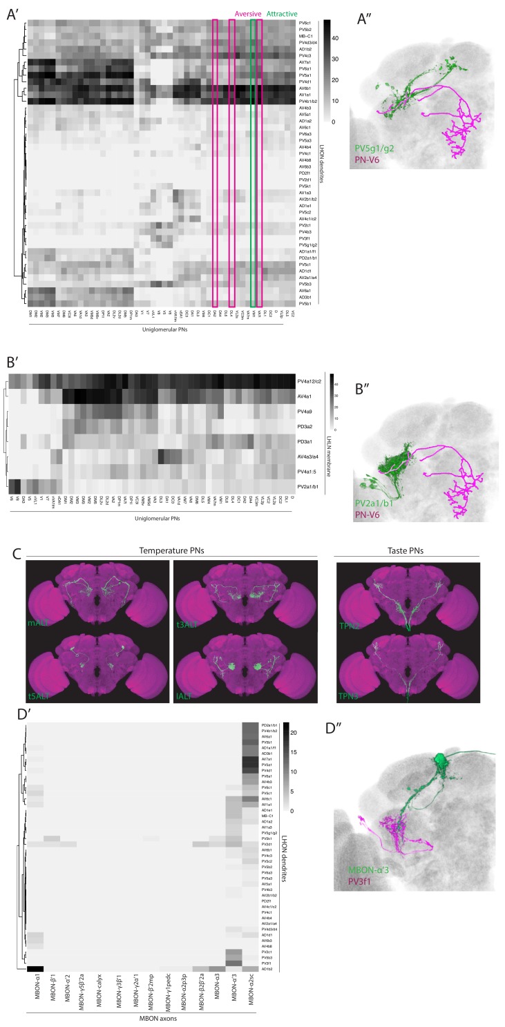 Figure 7—figure supplement 1.