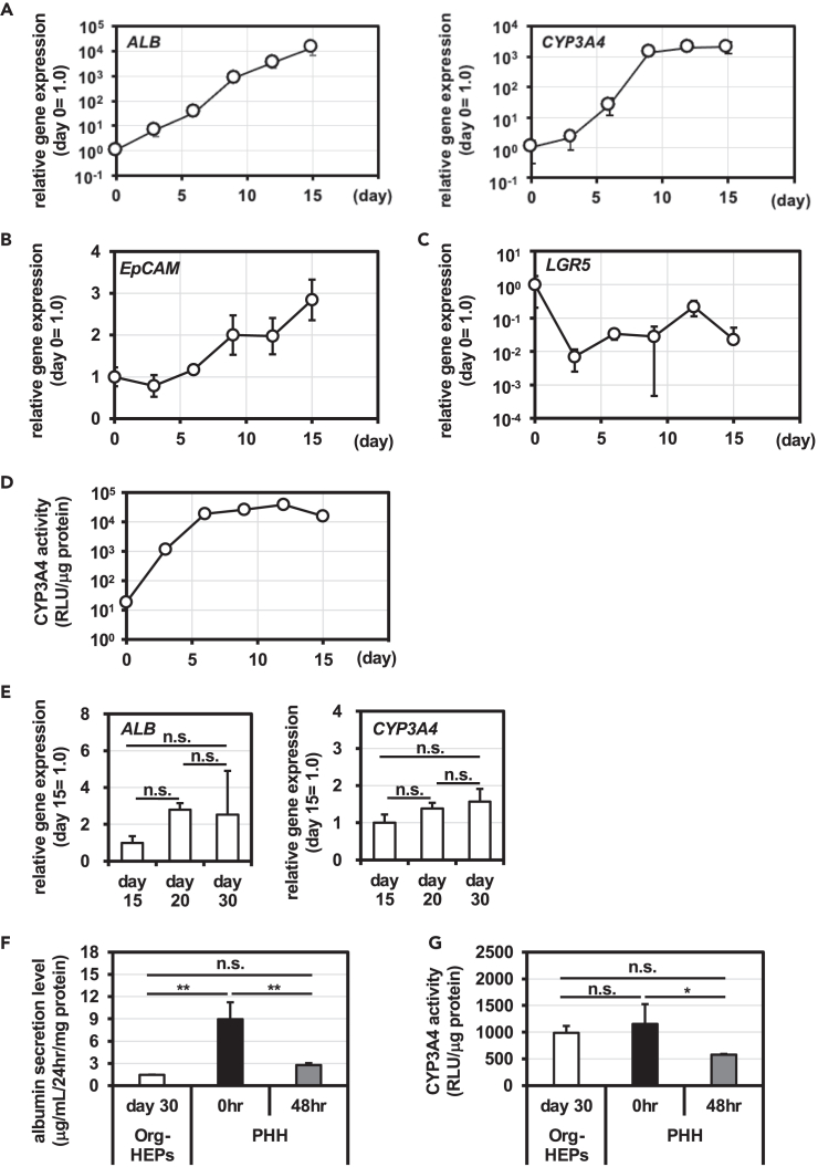Figure 7