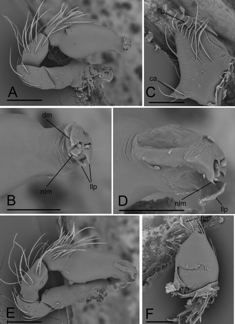 Figure 4.