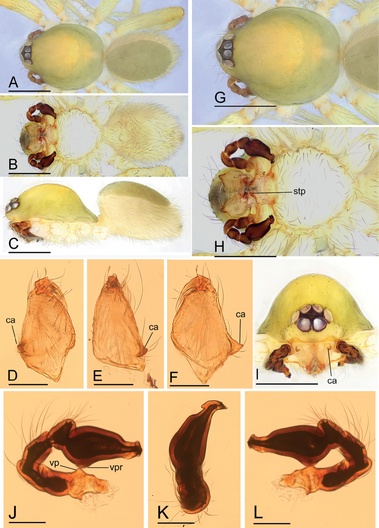 Figure 2.