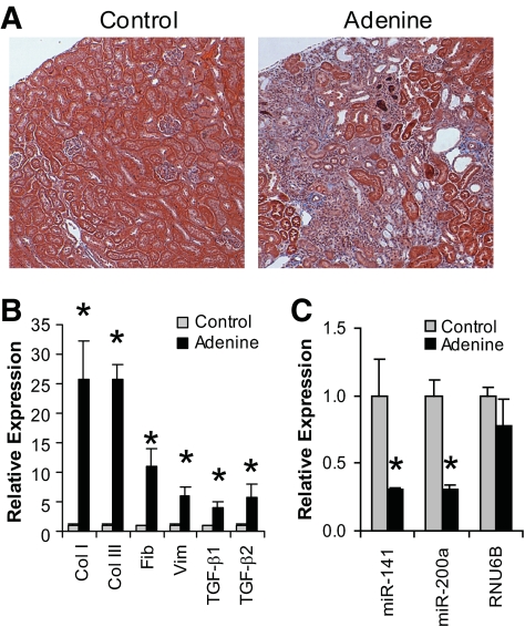 FIG. 8.