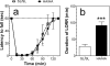 Fig. 10.