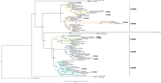 Figure 1.