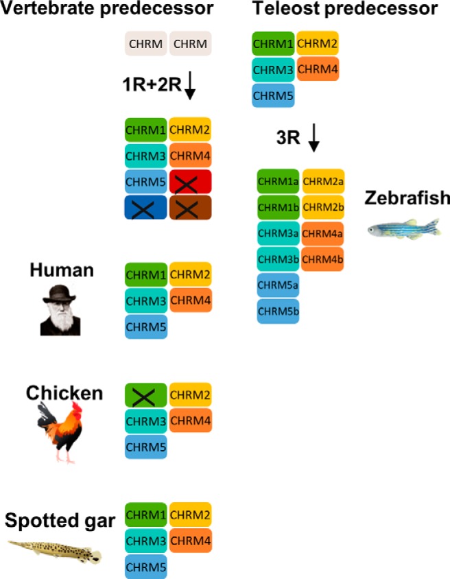 Figure 5.