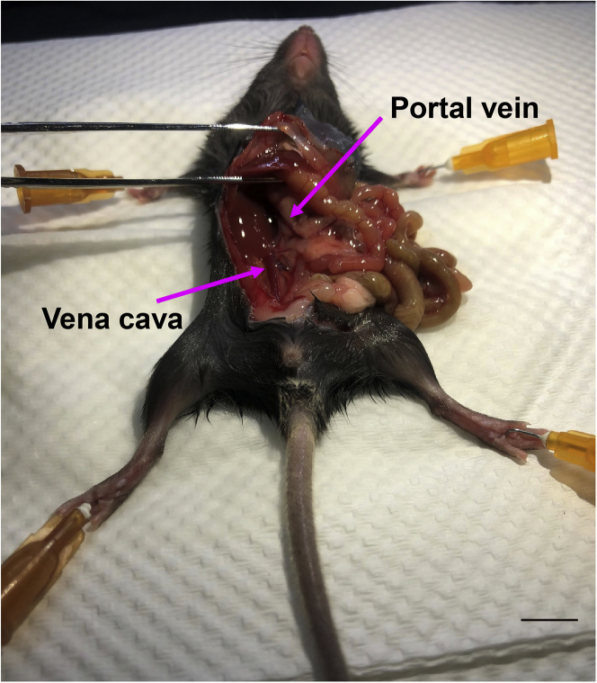 Figure 1