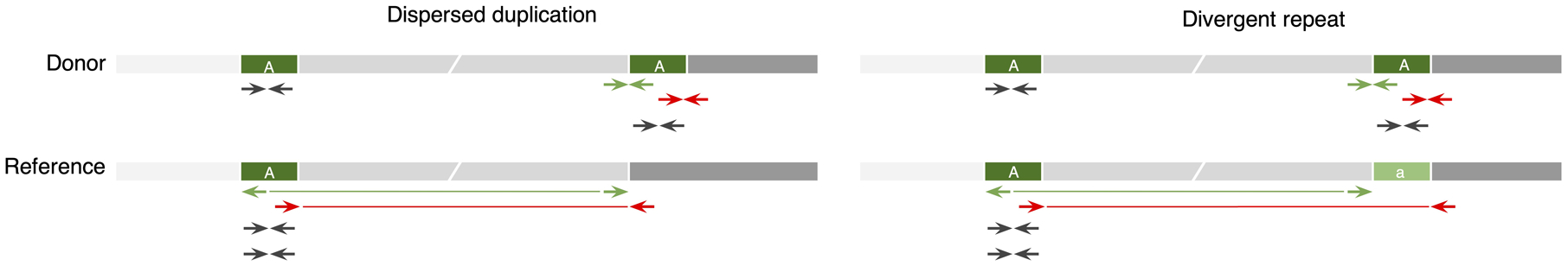 Extended Data Fig. 5.