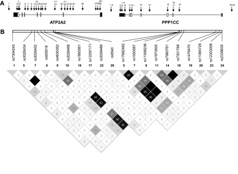 Fig. 4.