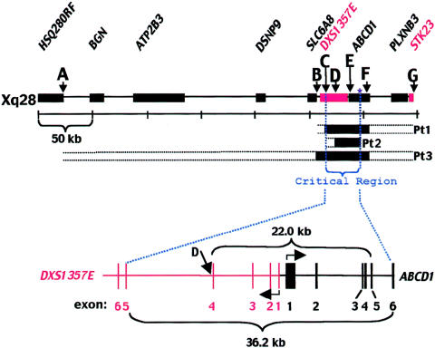 Figure  3