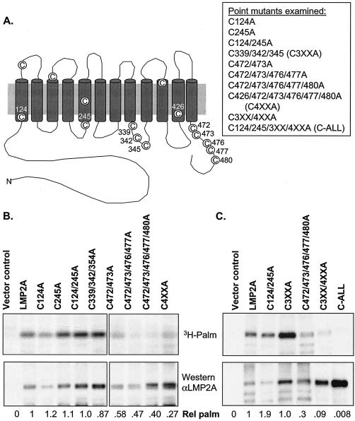 FIG. 3.