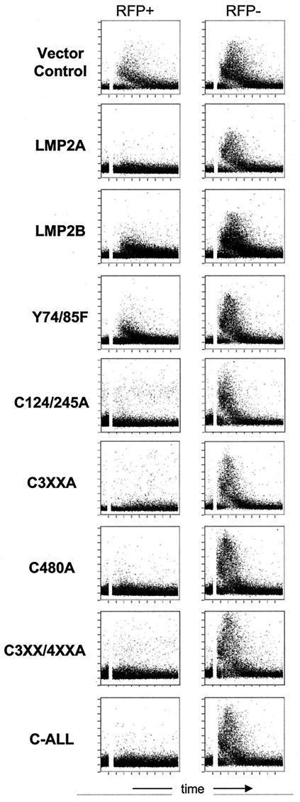 FIG. 7.