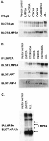 FIG. 6.