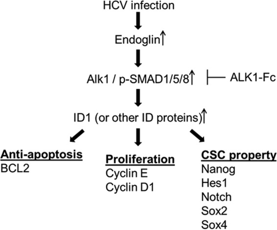 FIG 8