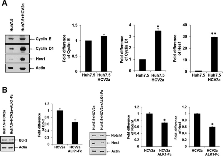 FIG 6