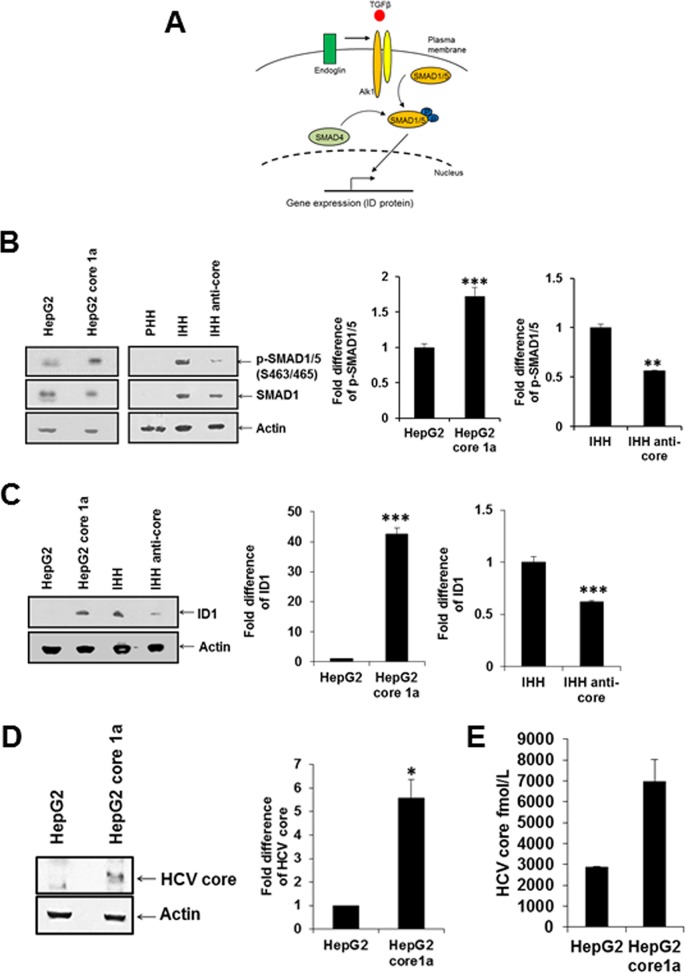 FIG 2