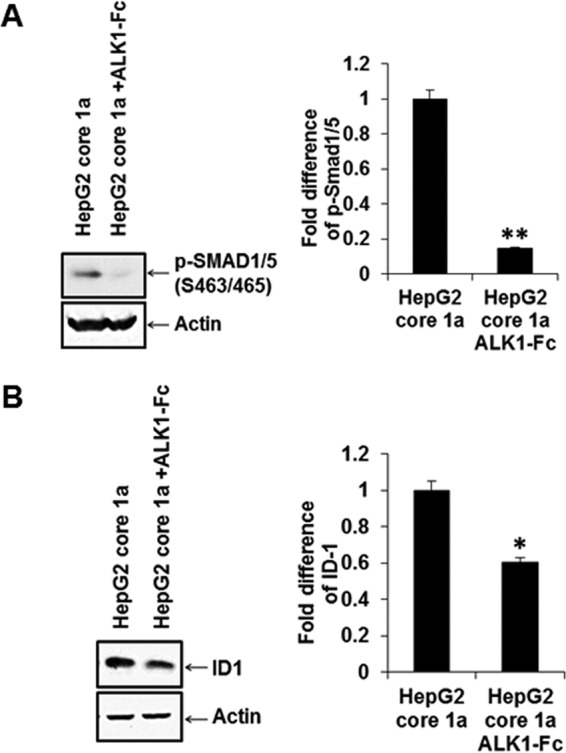 FIG 4