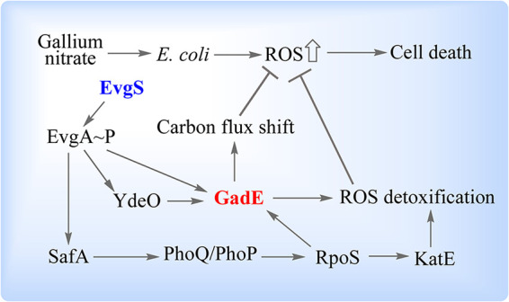 FIG 6