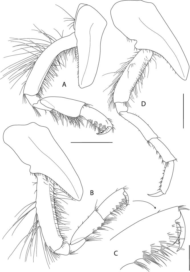 Figure 17