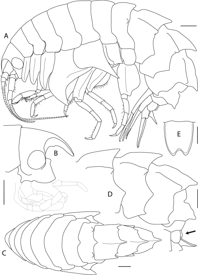 Figure 14