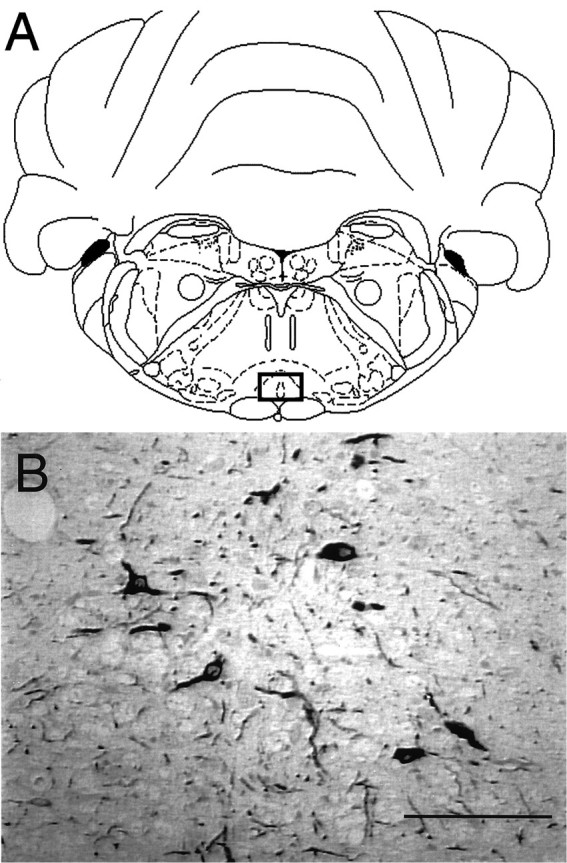 Fig. 1.