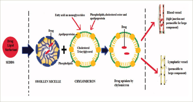 Figure 3: