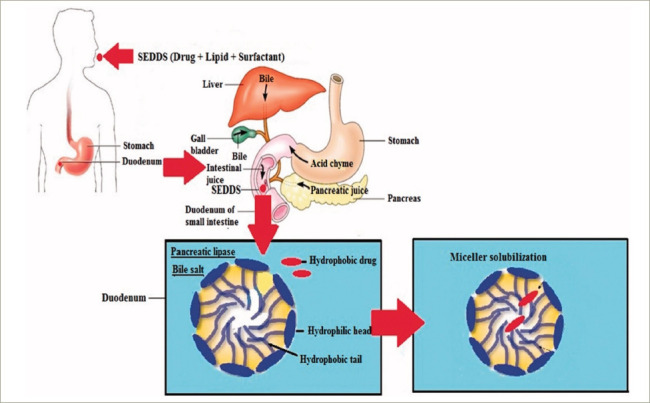 Figure 2: