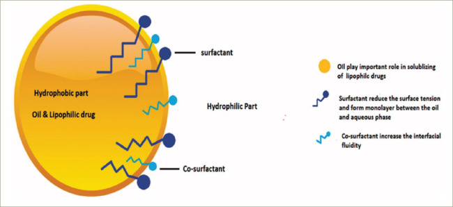 Figure 1: