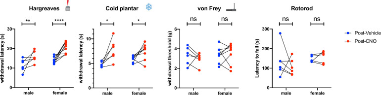 Figure 5—figure supplement 3.