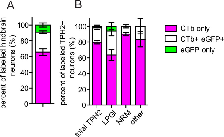 Figure 1—figure supplement 3.