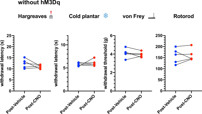 Figure 5—figure supplement 4.