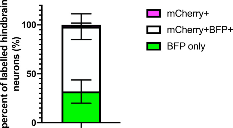 Figure 5—figure supplement 5.