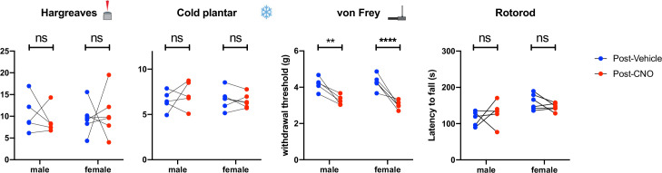 Figure 6—figure supplement 2.