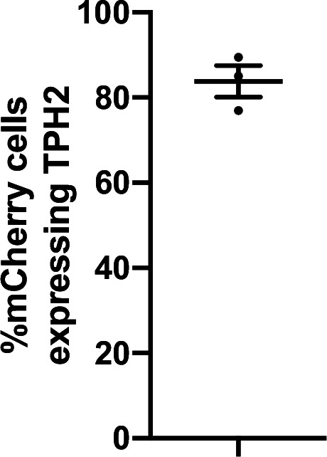 Figure 6—figure supplement 3.