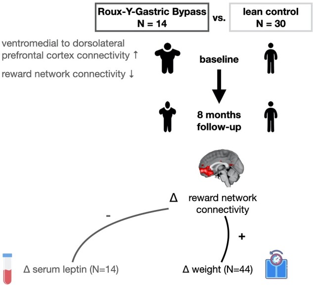 Graphical Abstract