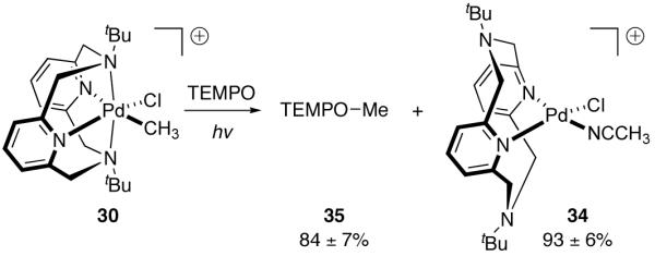 Fig. 19