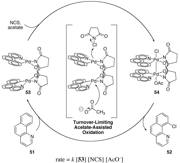 Fig. 31