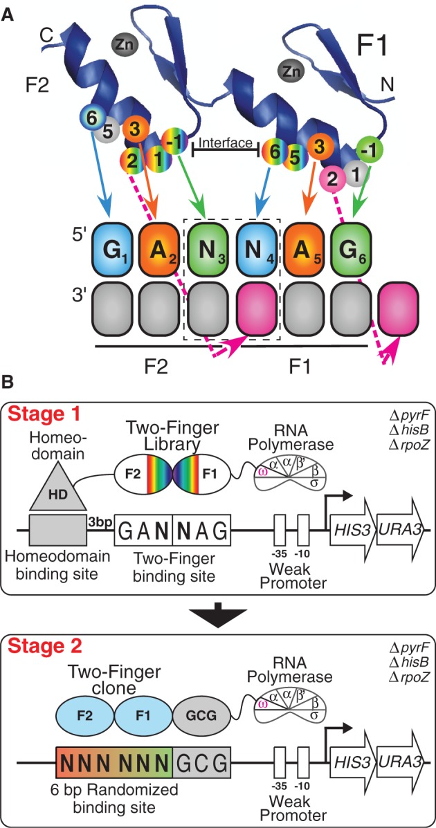 Figure 1.