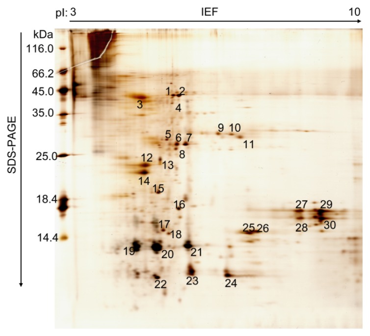 Figure 1.