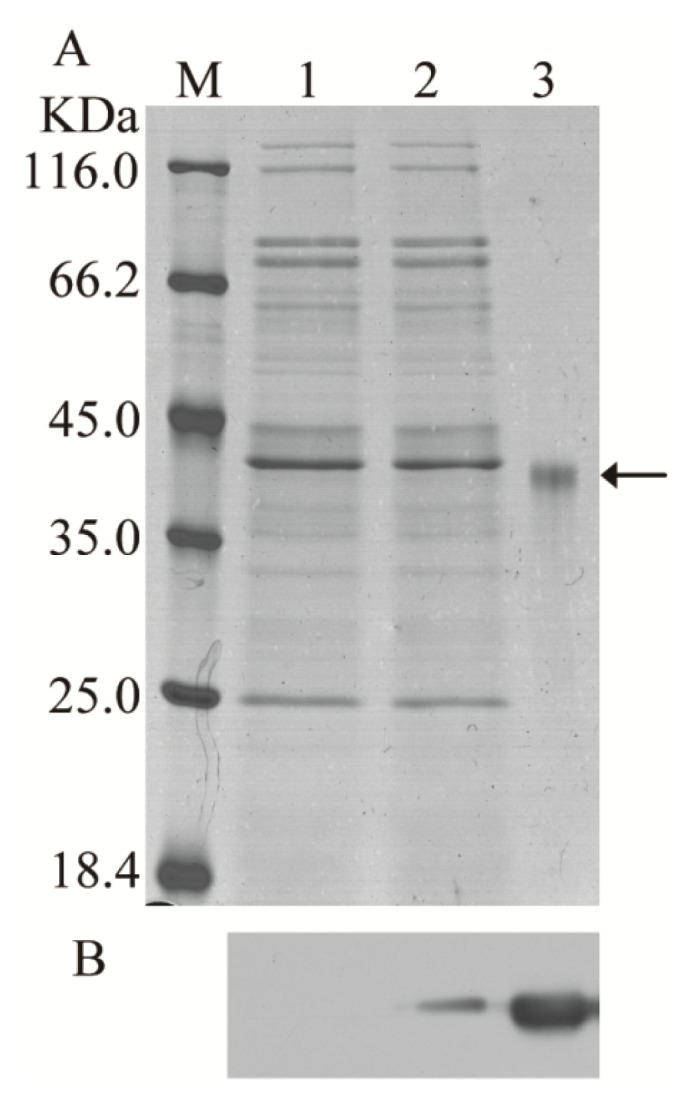 Figure 3.