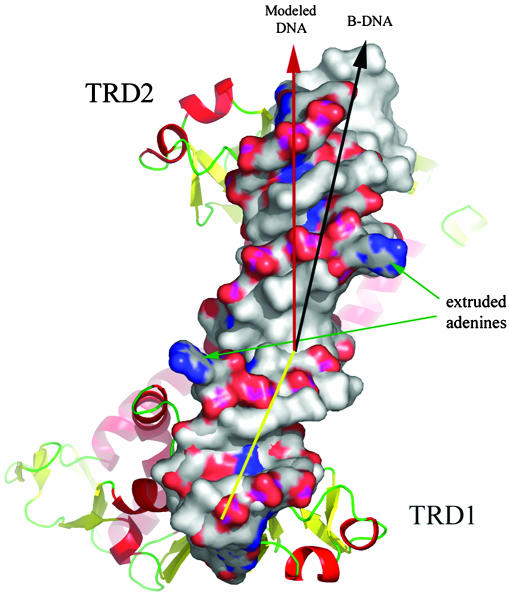 Fig. 6.