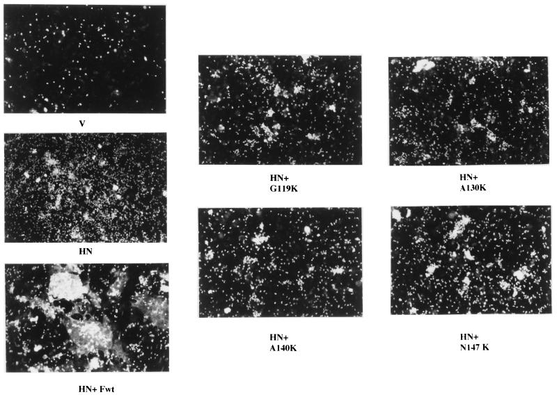 FIG. 8